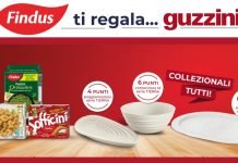 Raccolta punti “Findus ti regala Guzzini” (come funziona)